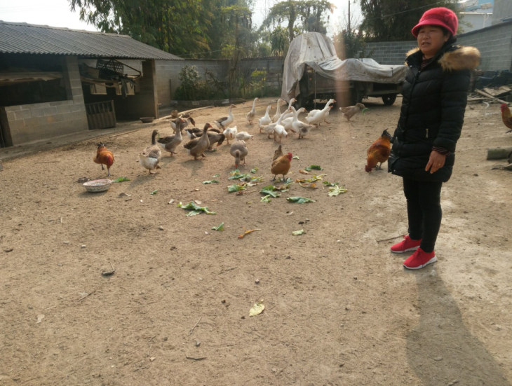 1518422306522620.png 3.png