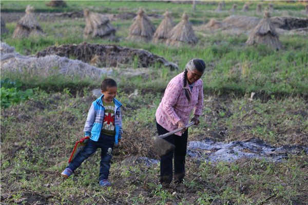 1520933073134340.jpg (備選)任奶奶頭發(fā)已灰白,仍精心盡力打理著屋前的菜地和稻田,她現(xiàn)在只希望兒子兒媳婦能回到她和孩子身邊。.JPG