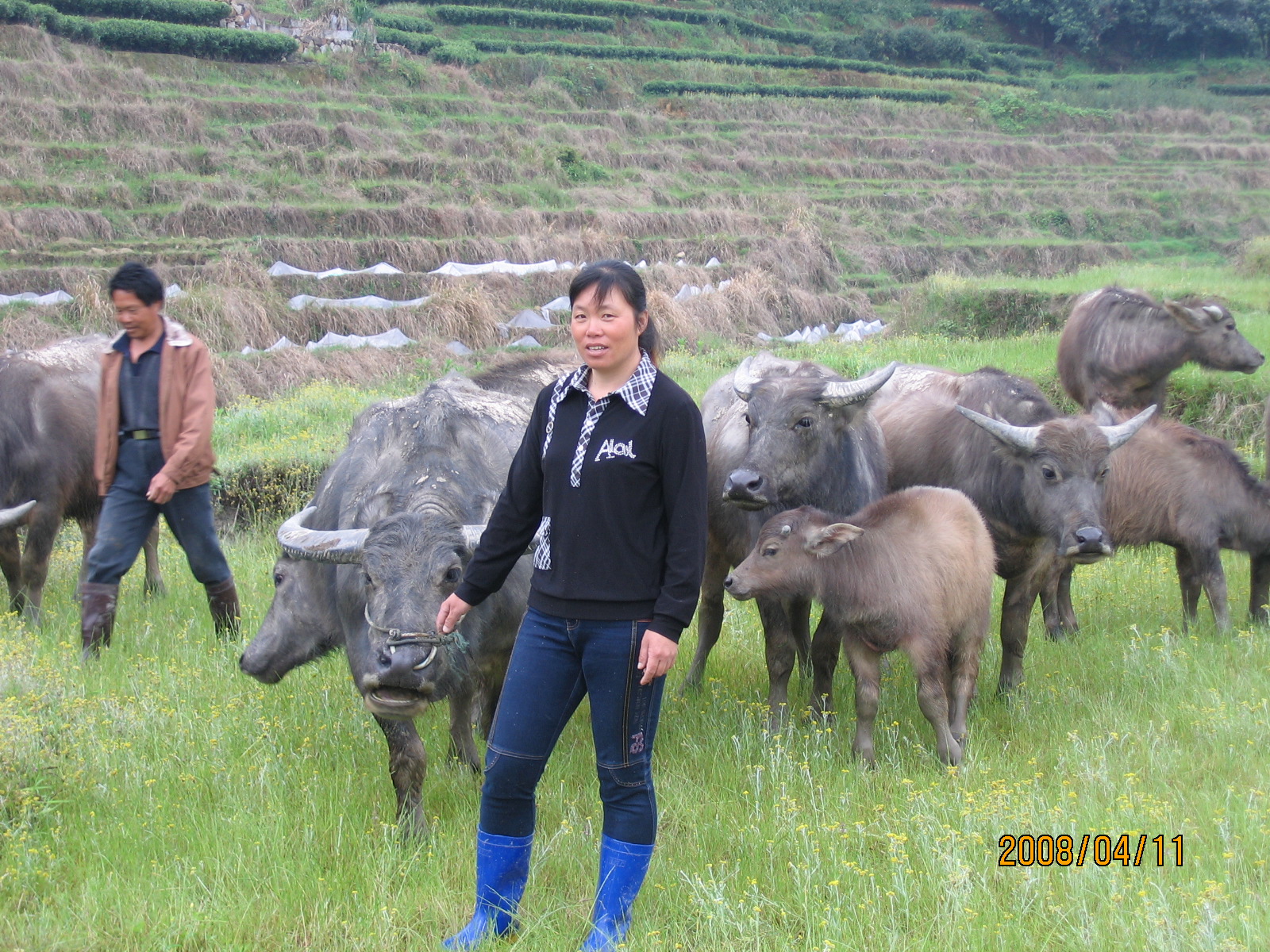 1522374539346104.jpg 2.jpg