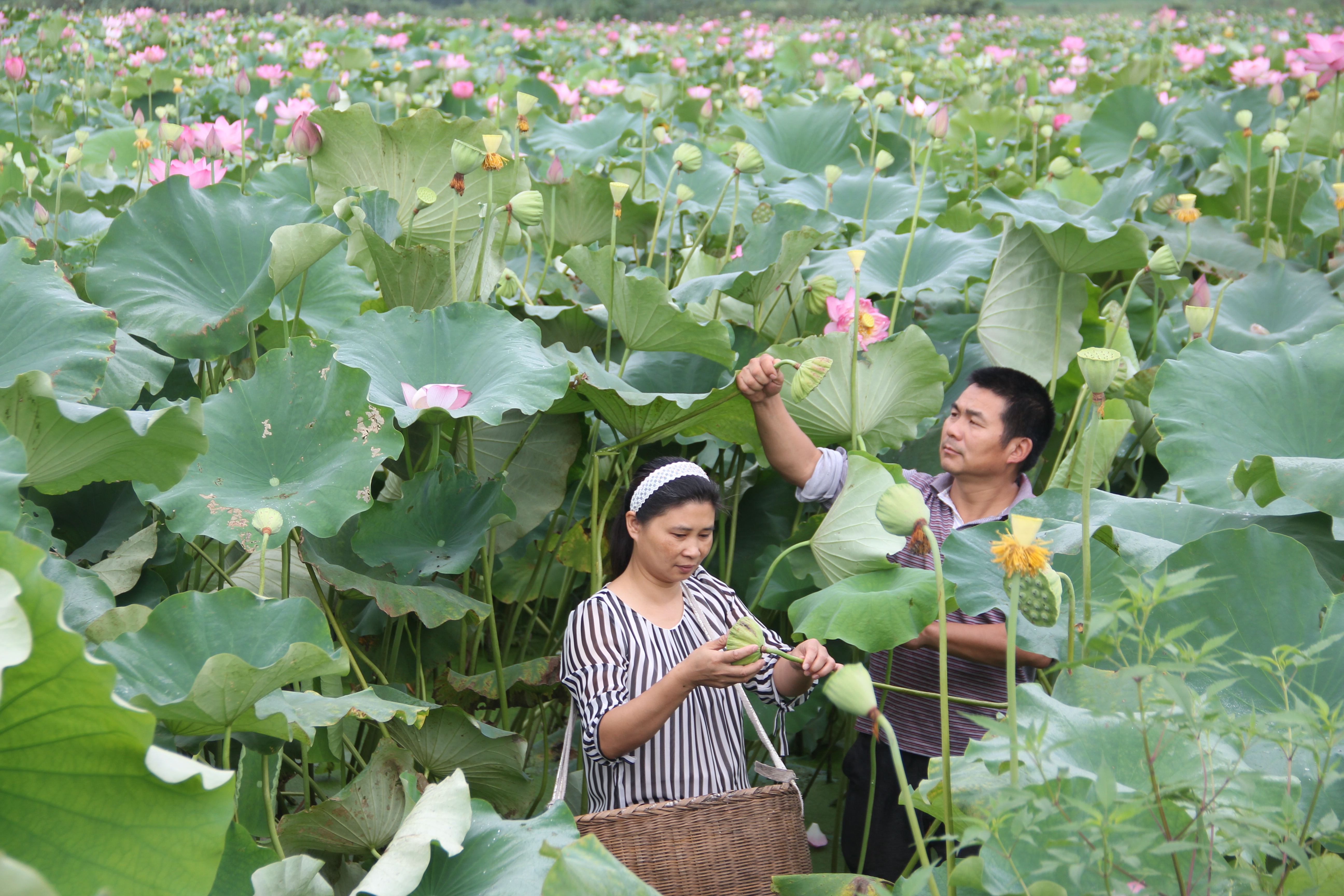 1522376267202894.jpg 1522376267202894.jpg