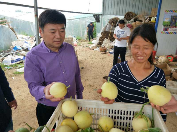 1527155050335260.jpg 貧困母親向麻會(huì)長(zhǎng)喜報(bào)香瓜長(zhǎng)勢(shì).jpg