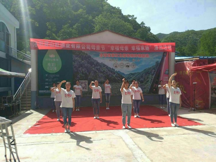 1527505096225314.jpg 4.jpg