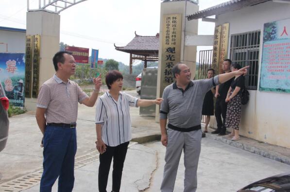 1539136768484580.jpg 6.jpg