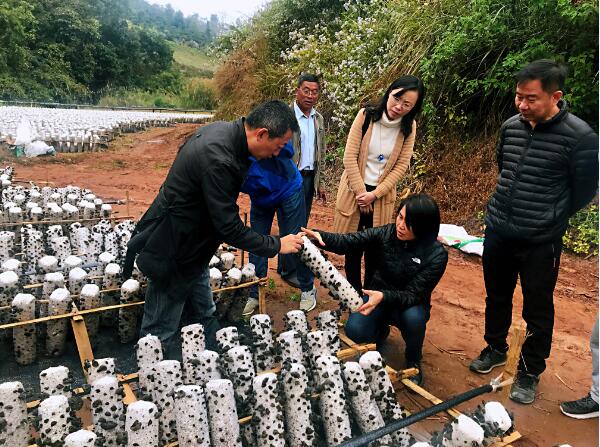 1546071310995669.jpg 111.jpg