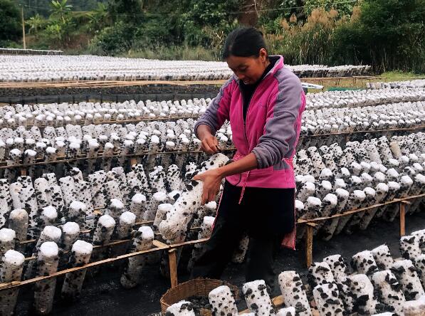 1546071325116465.jpg 222.jpg