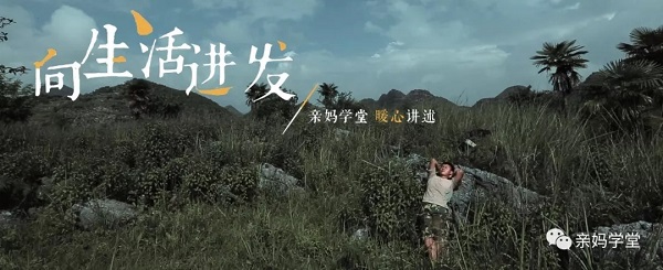 1549937252119989.jpg 640.webp.jpg