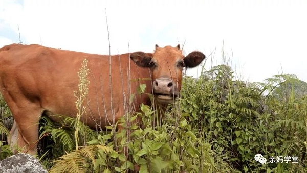 1549937340134878.jpg 6408.webp.jpg