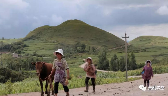 1550212924118496.png 13.png