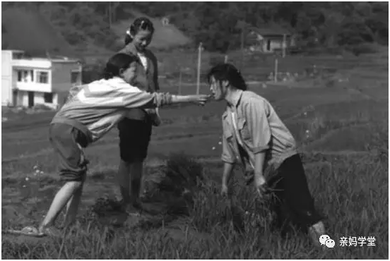 1550395111112472.png 5.png