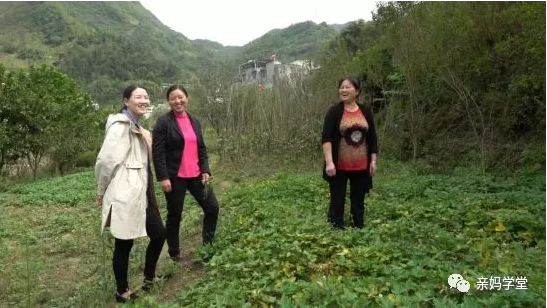 1550395122977725.png 6.png