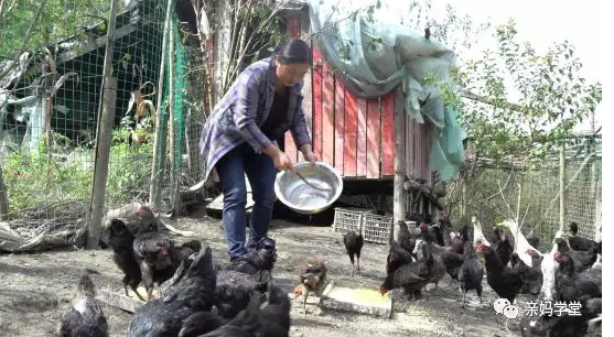 1550395156369083.png 9.png