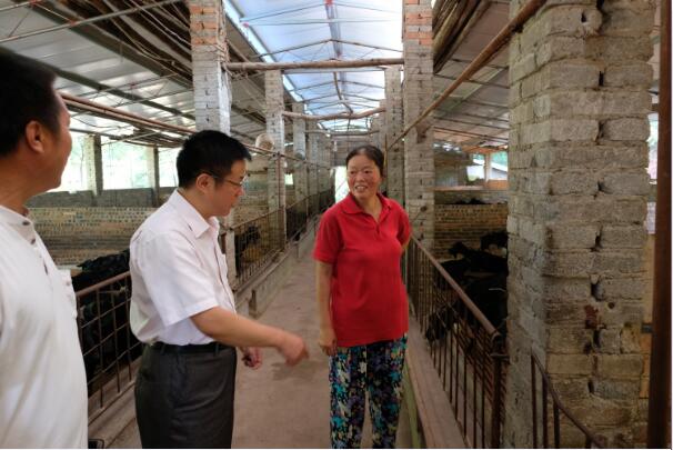 1550557441675986.jpg 1550557441675986.jpg