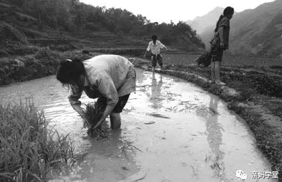 1550901321843853.png 3.png