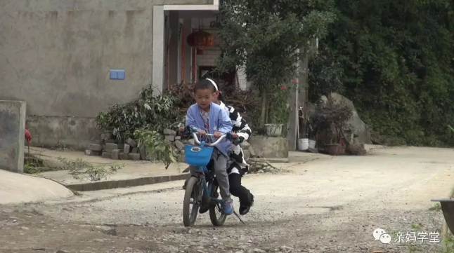 1550901786119572.png 6.png