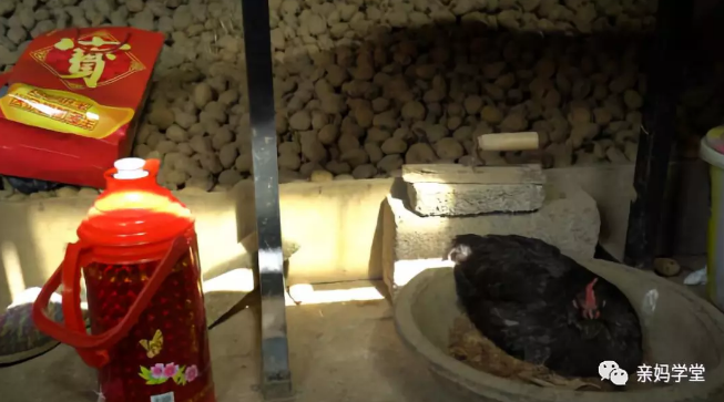 1551525986475070.png 3.png