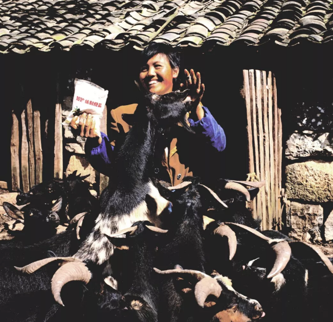 1551605788128596.png 1.png