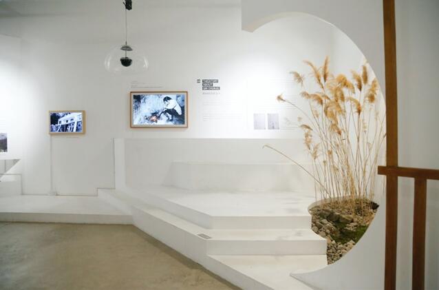 1552097976123884.jpg 6.jpg