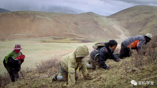 1552204656476447.png 2.png