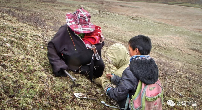 1552204676123359.png 3.png