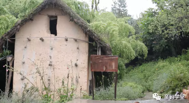 1552205701725558.png 1.png