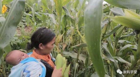 1552205813114279.png 6.png