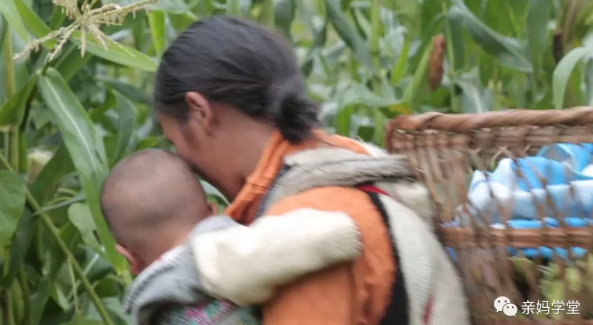 1552205941890843.png 9.png