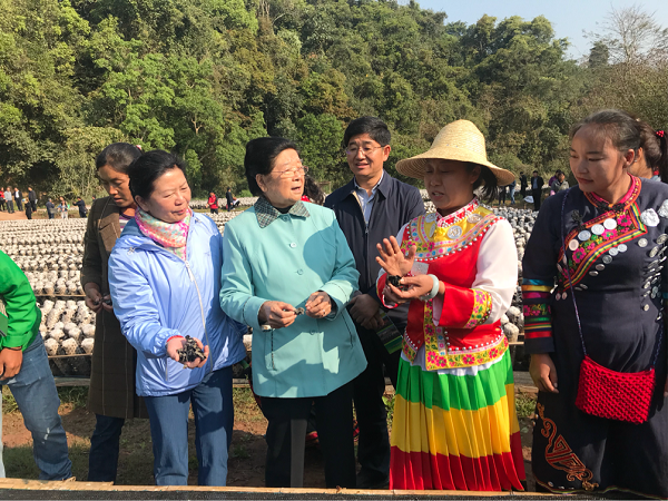 1552532939675900.png 1552532939675900.png