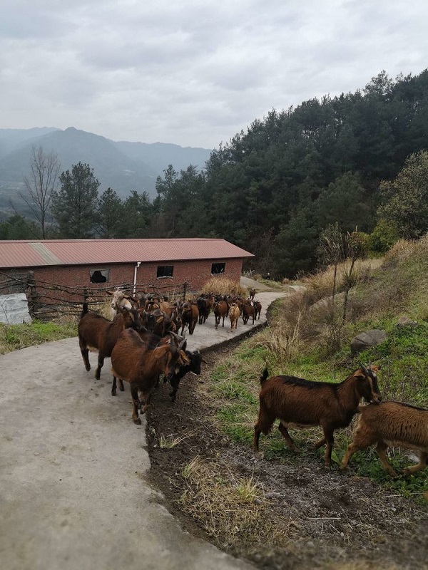 1553653586804823.jpg 微信圖片_20190327100826.jpg