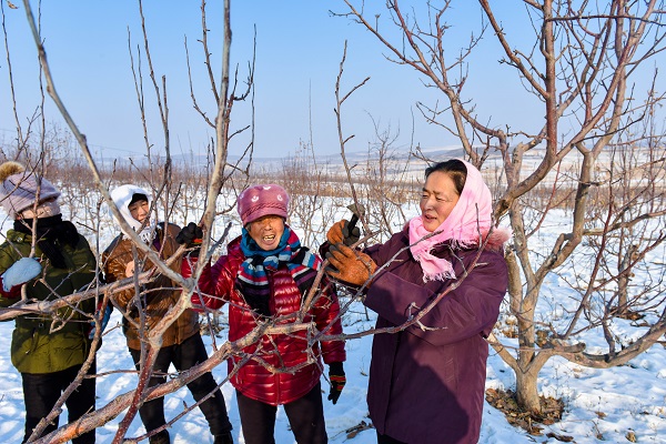 1554697152363188.jpg 2.jpg