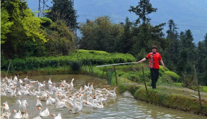 1555224309383025.png 11.png