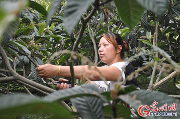 1556416551127107.jpg Img402133595.jpg