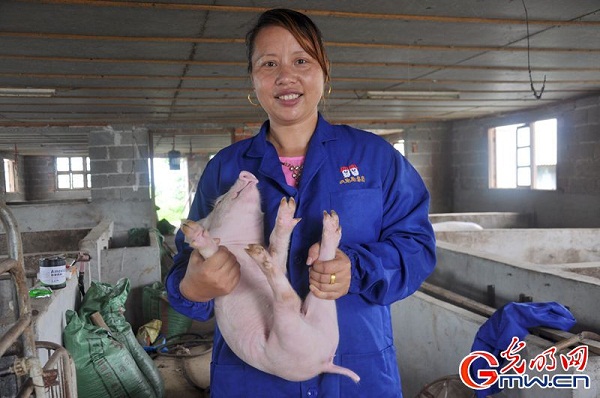 1556416586460440.jpg Img402133598.jpg