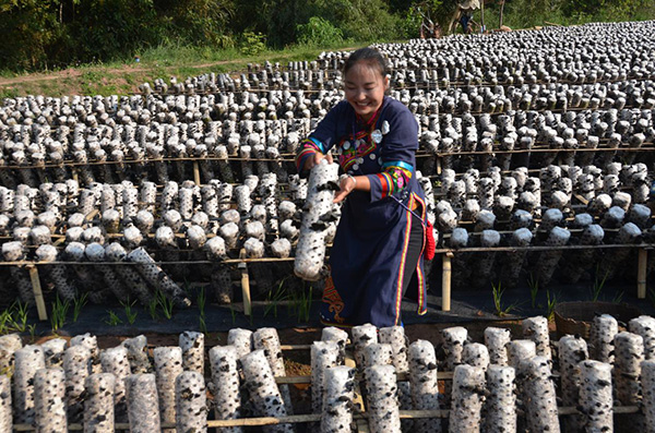 1557113261222474.jpg image001.jpg