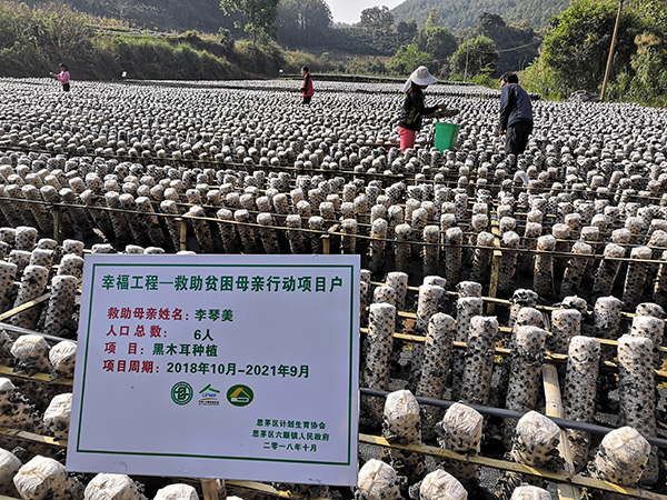 1557113292112863.jpg image005.jpg