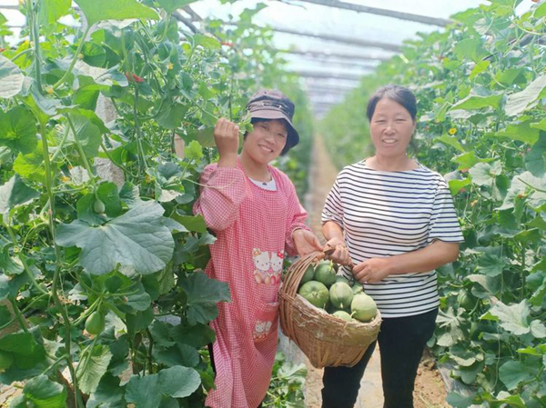 1558929274291841.png 圖片4_副本.png