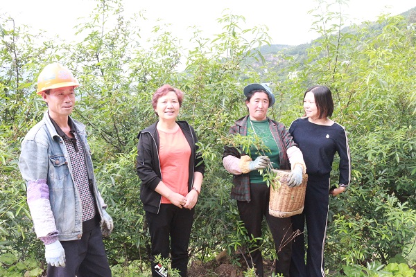 1569228830750431.jpg 回訪(fǎng) (1).JPG