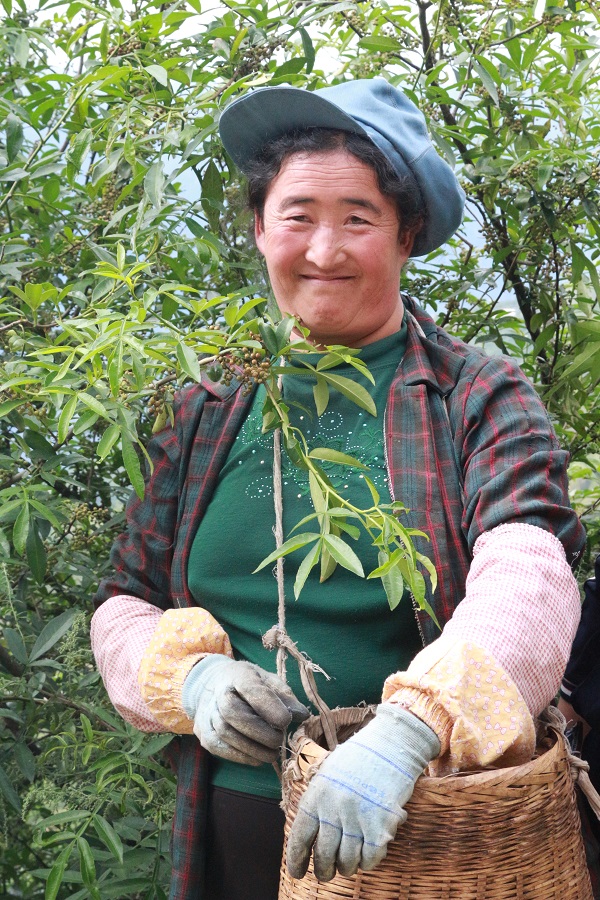 1569228902139336.jpg IMG_1292.JPG