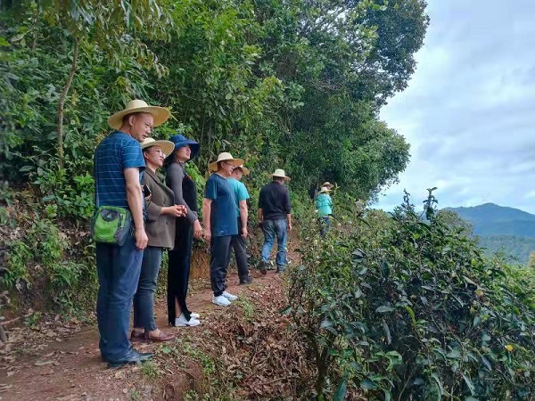 1571849969128966.jpg 44.jpg