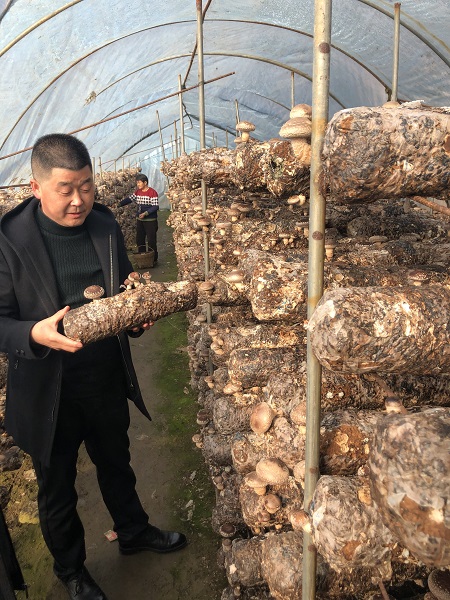 1577868680123208.jpg 1c26036c142a2e0aad88c86eb939376.jpg