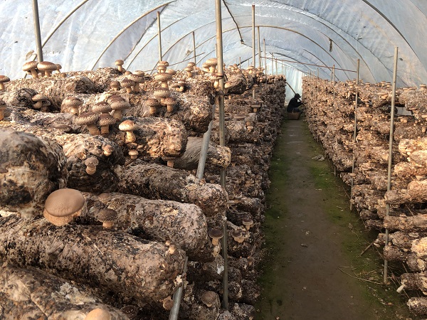 1577868724471671.jpg 3c770f24b7f2c4ba579365626b67e81.jpg