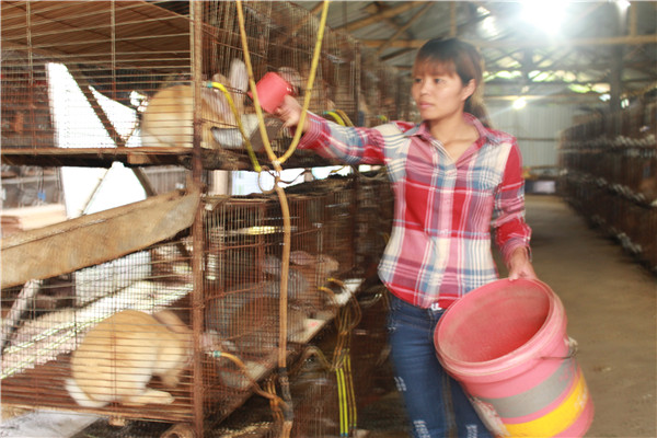 1582767390697286.jpg image001.jpg