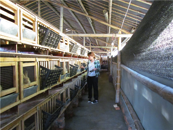 1582767437132916.jpg 由知村致富帶頭人獨生子女戶溫喜花養殖黃兔.jpg