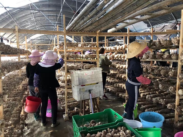 1587604305379540.jpg 微信圖片_2019122412560731 - 副本.jpg