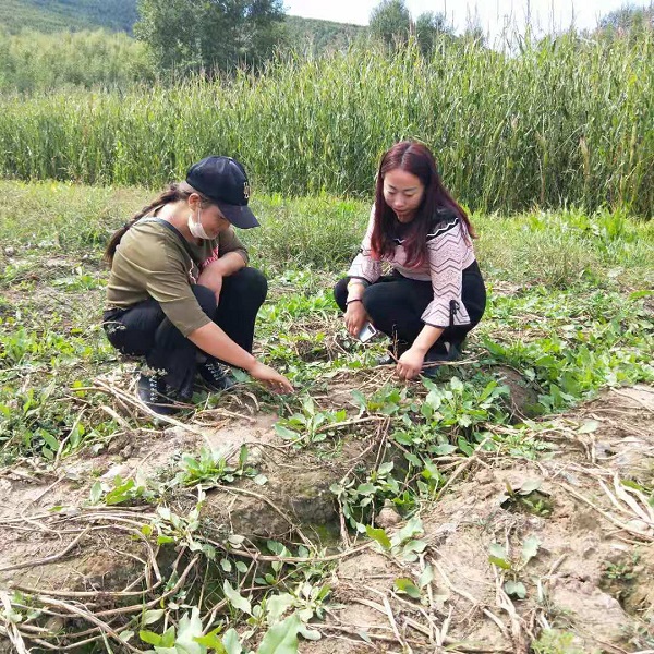 1587605740140619.jpg 梁秀麗工作照2 - 副本.jpg