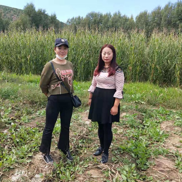 1587605758357335.jpg 梁秀麗工作照1 - 副本.jpg