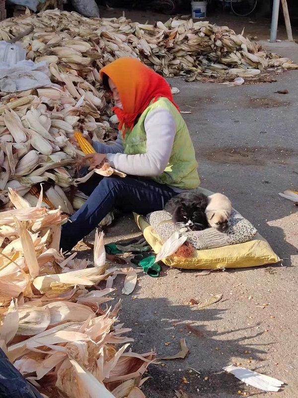 1587613471120557.jpg 2.jpg