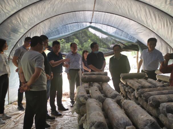 1589955950499082.jpg 1.jpg