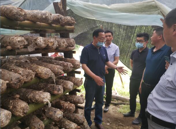 1589955959225529.jpg 2.jpg