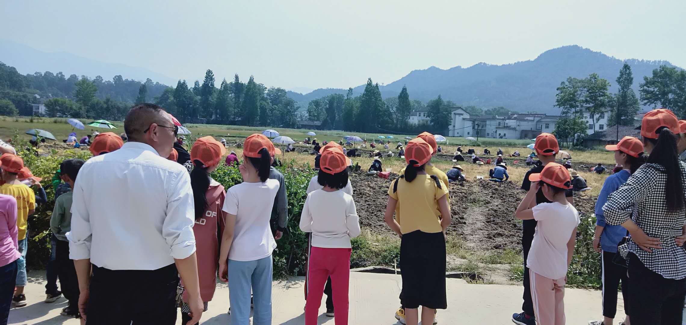 1590128436115798.jpg 微信圖片2.jpg