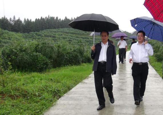 1591146691666949.jpg 1591146691666949.jpg